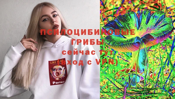 прущие крисы Абинск